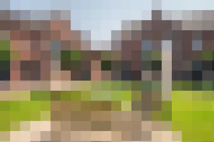 Biest 106 C Weert thumbnail 59
