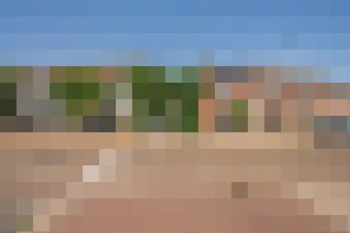 Biest 106 C Weert thumbnail 66