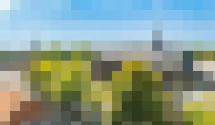 Biest 106 C Weert thumbnail 67