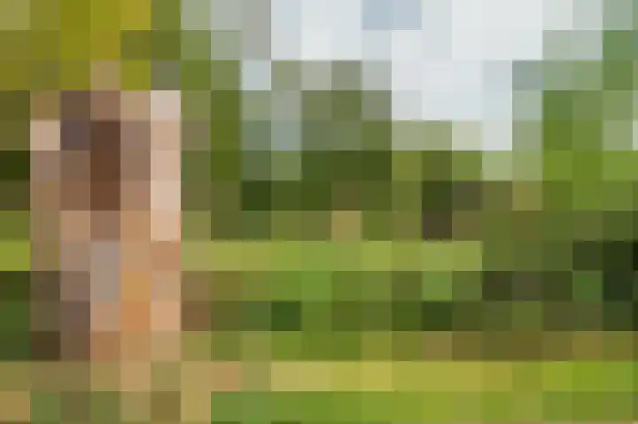 Biest 106 C Weert thumbnail 70