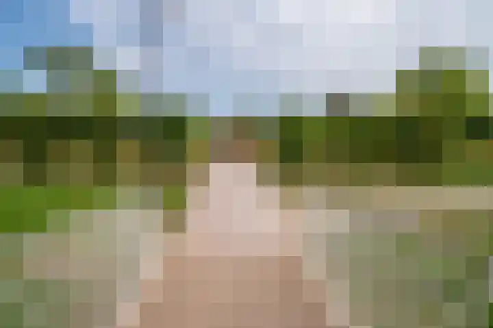 Biest 106 C Weert thumbnail 71