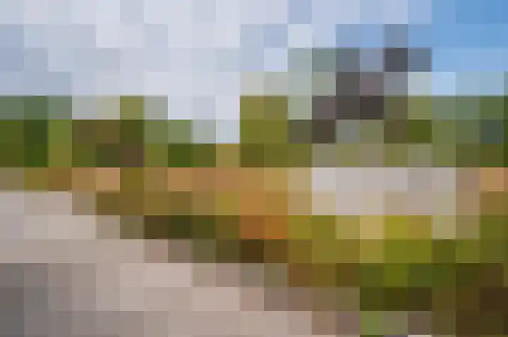 Biest 106 C Weert thumbnail 72