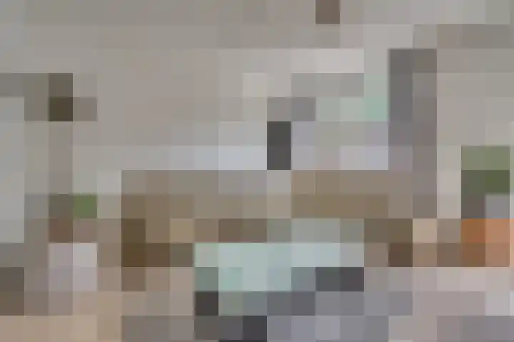 Biest 106 C Weert thumbnail 8