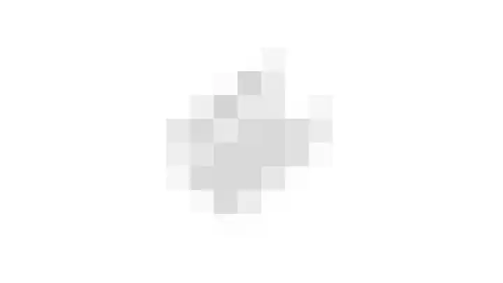 Biest 106 C Weert thumbnail 89