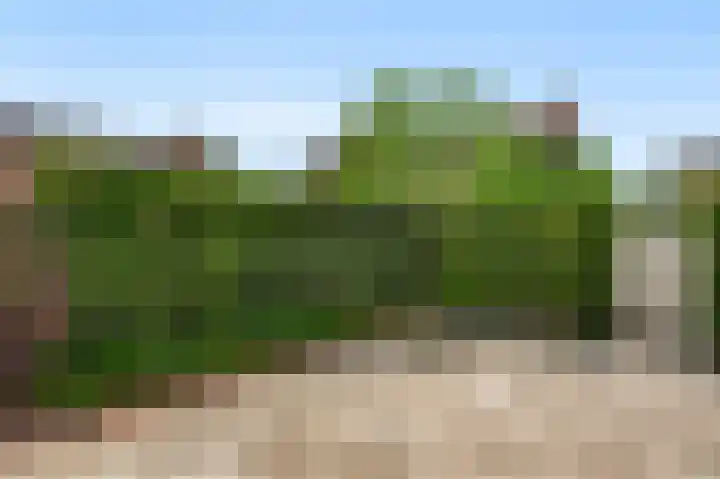 Biest 108 Weert thumbnail 21