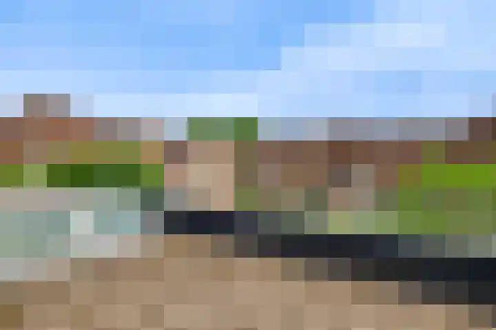 Biest 108 Weert thumbnail 29