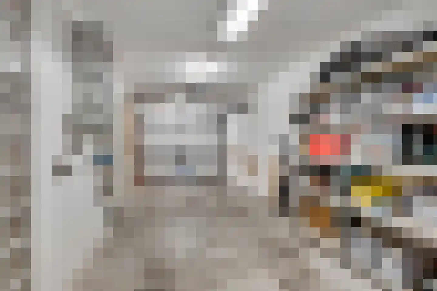 Biest 118 Weert thumbnail 14