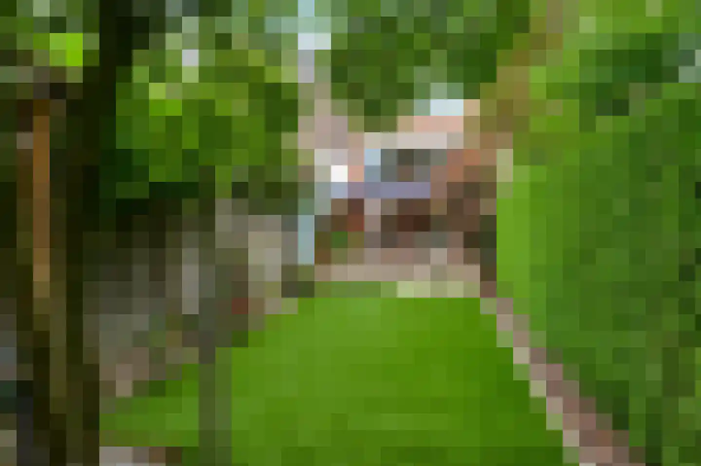 Biest 118 Weert thumbnail 19