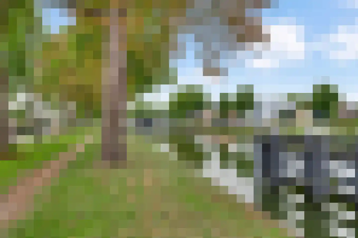 Biest 118 Weert thumbnail 41