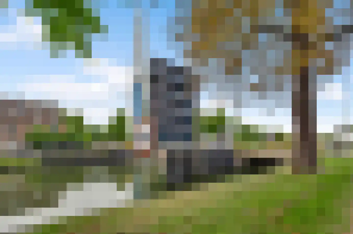 Biest 118 Weert thumbnail 42