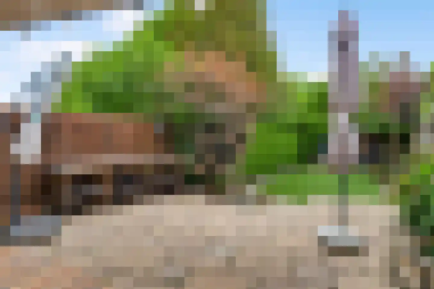 Biest 118 Weert thumbnail 7