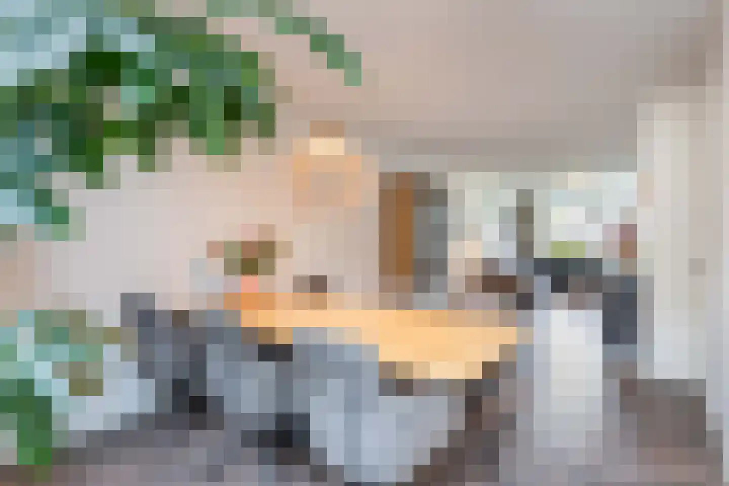 Biest 138 Weert thumbnail 15