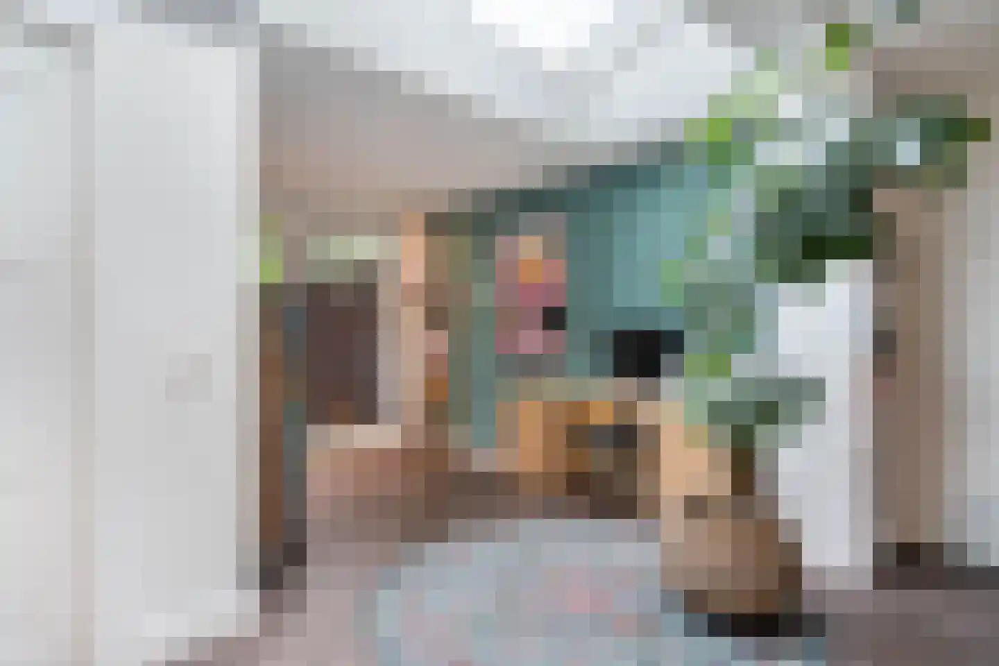 Biest 138 Weert thumbnail 18