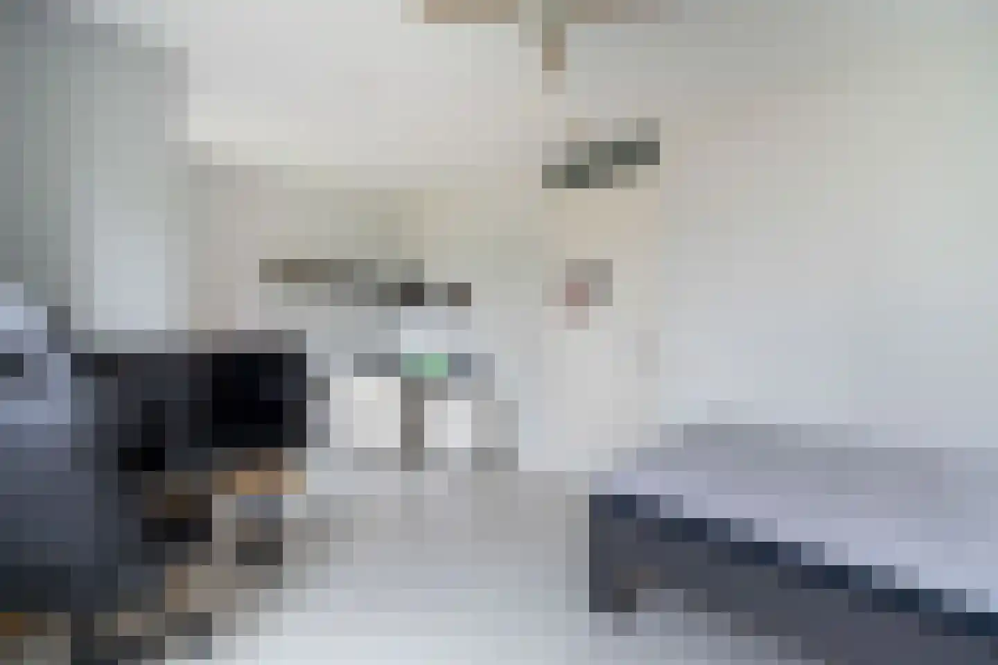 Biest 138 Weert thumbnail 26