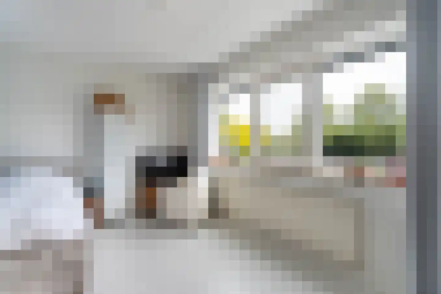 Biest 138 Weert thumbnail 29