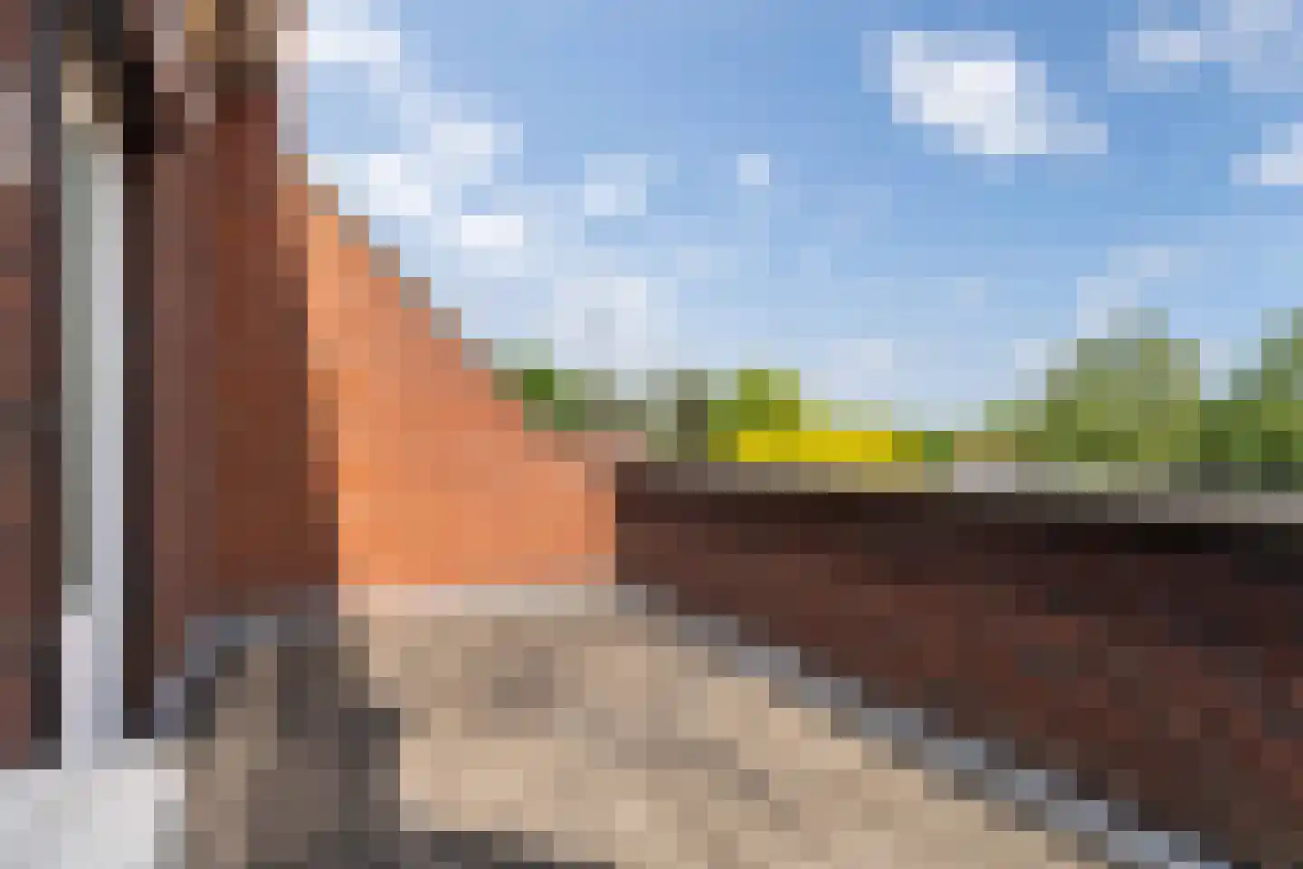 Biest 138 Weert thumbnail 39