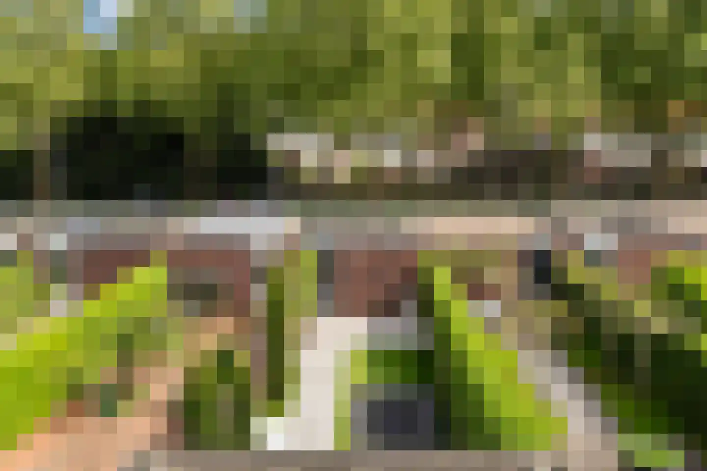 Biest 138 Weert thumbnail 41