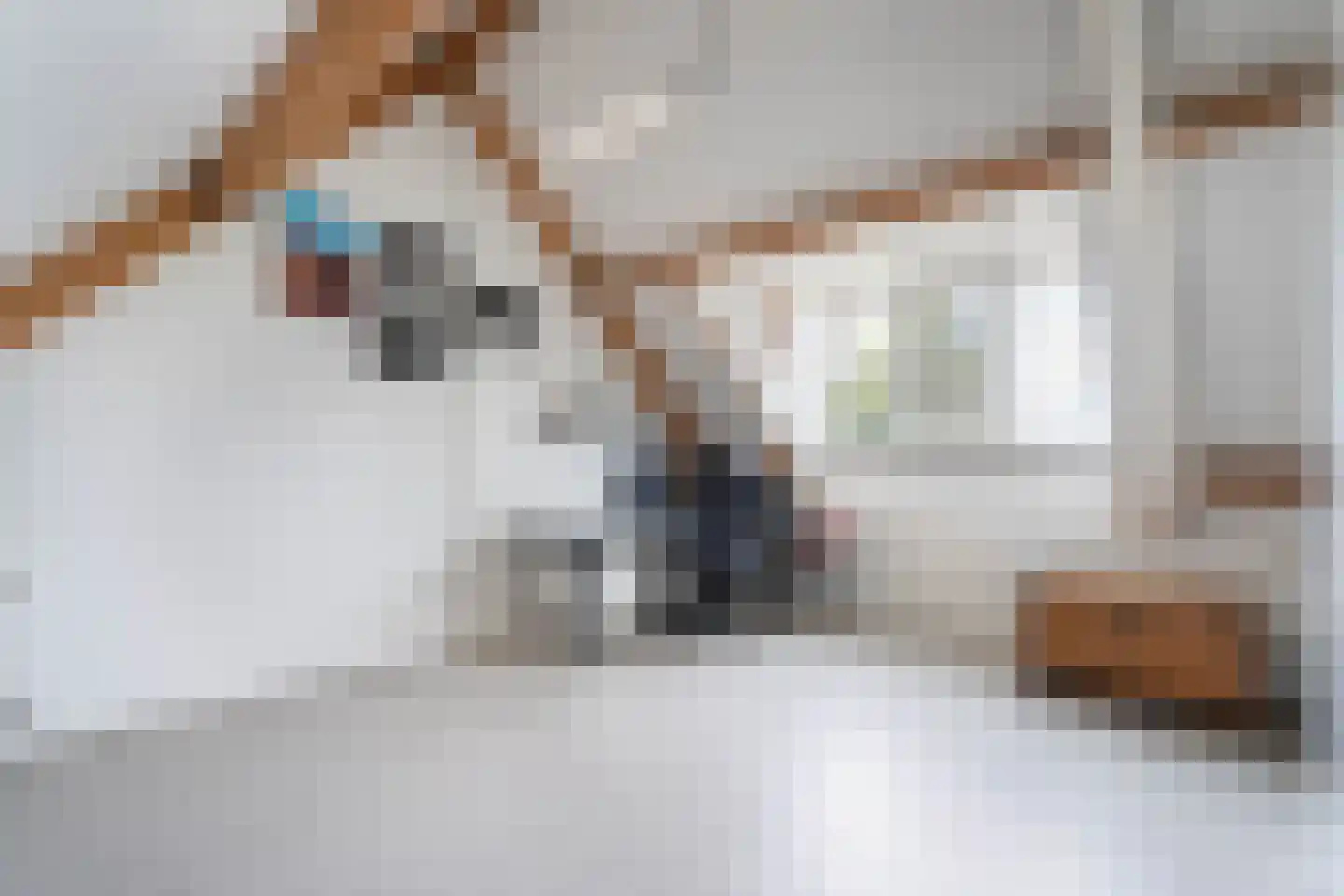 Biest 138 Weert thumbnail 42