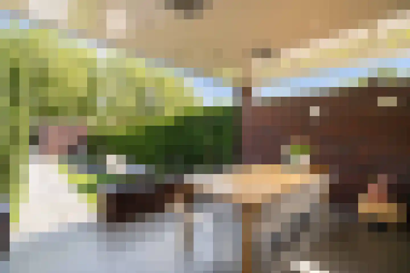 Biest 138 Weert thumbnail 44