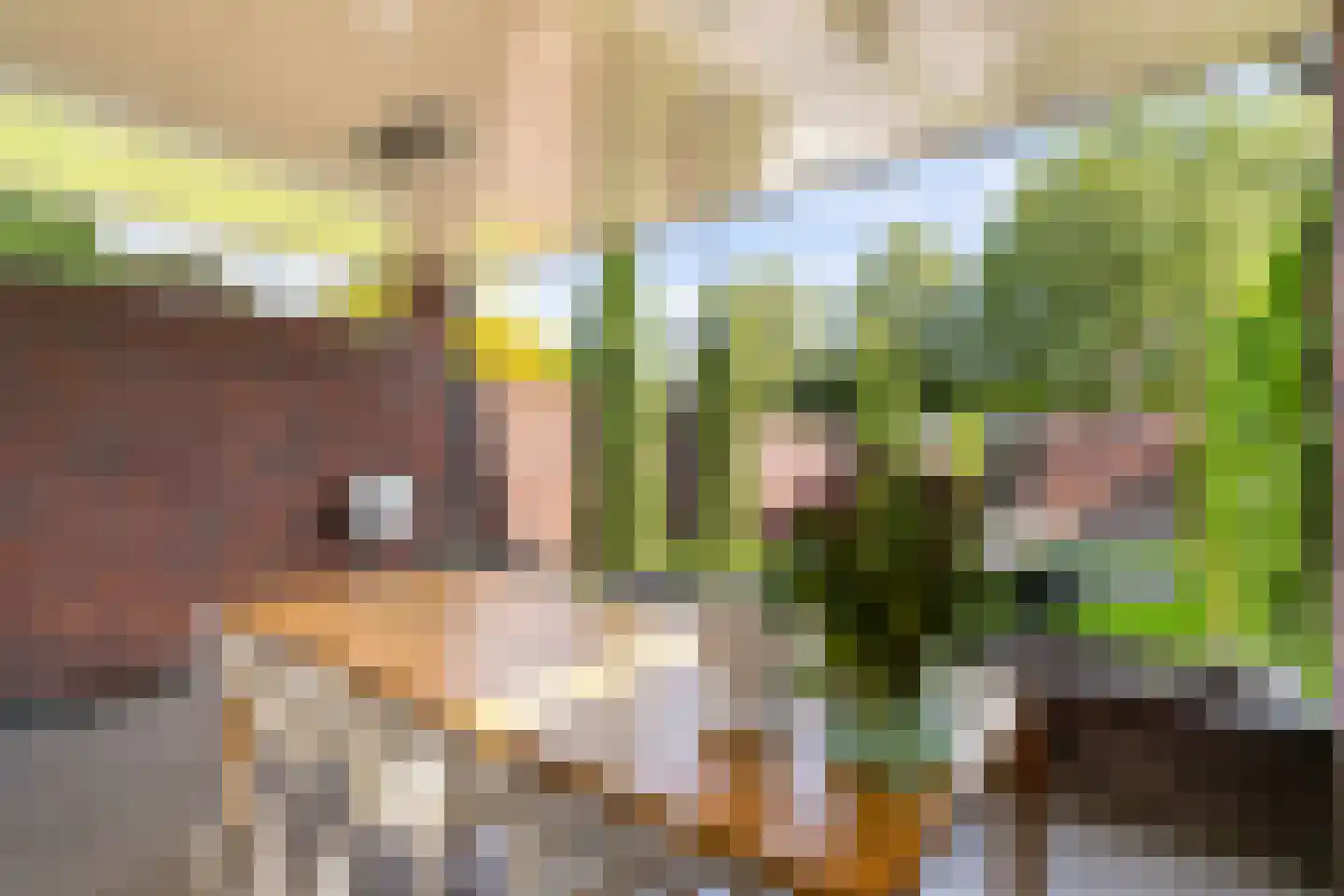 Biest 138 Weert thumbnail 45