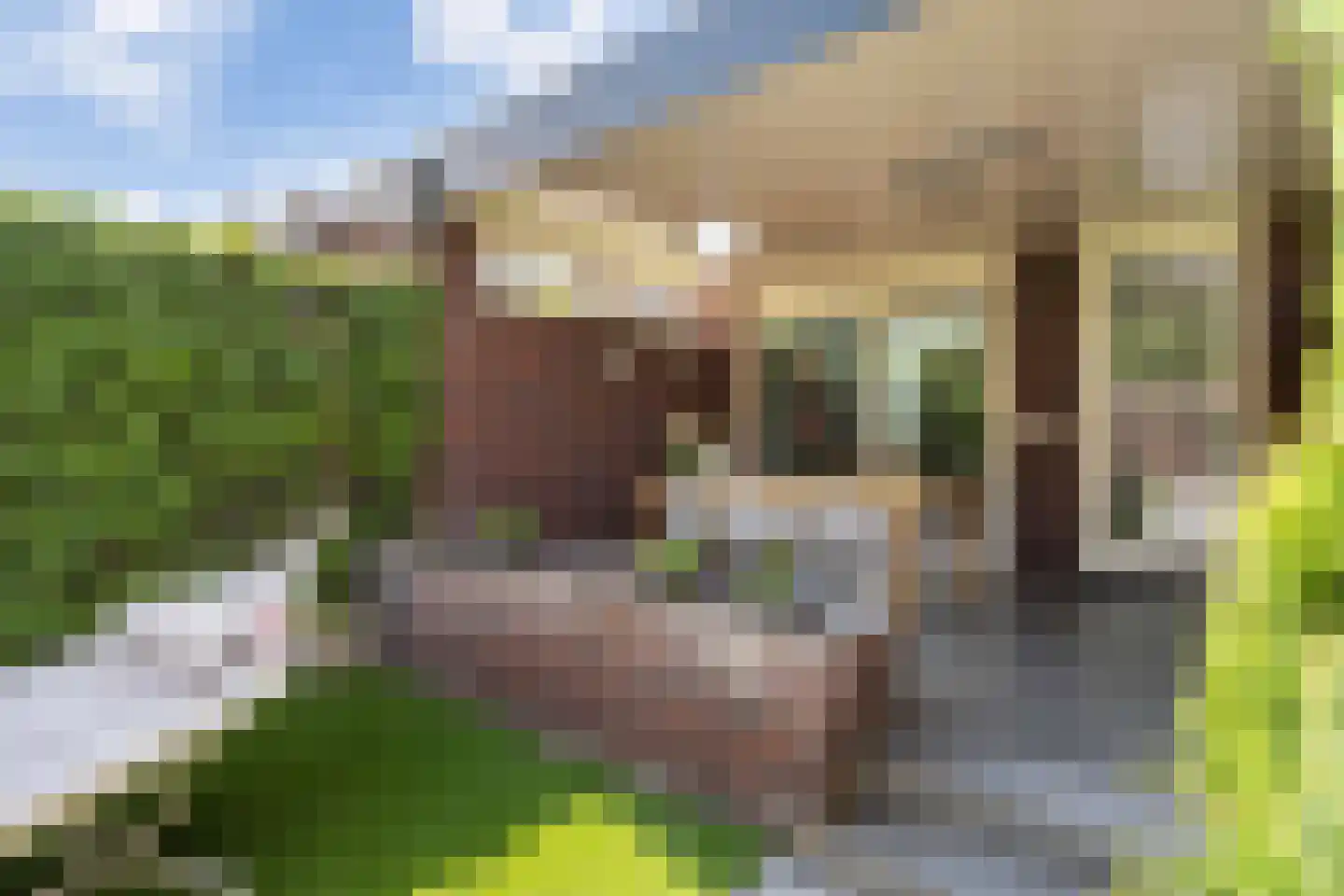 Biest 138 Weert thumbnail 46