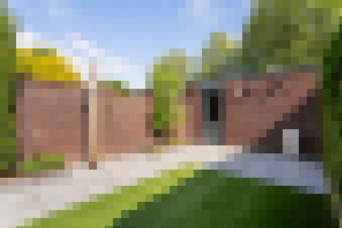 Biest 138 Weert thumbnail 49