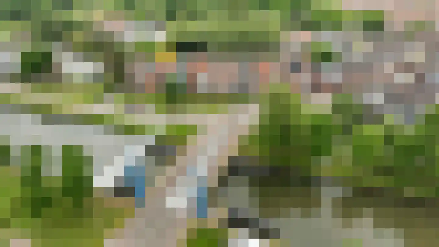 Biest 138 Weert thumbnail 56