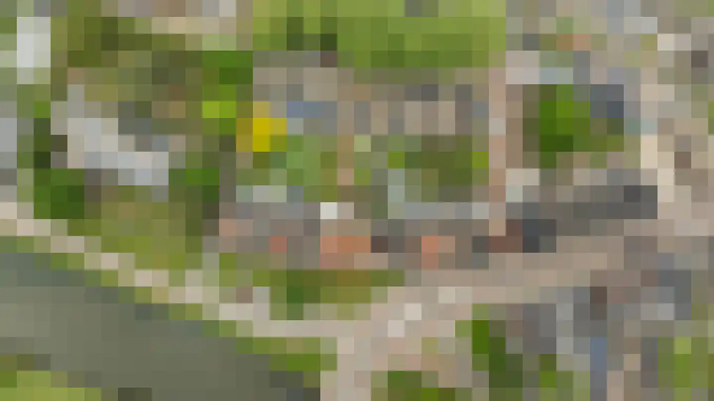 Biest 138 Weert thumbnail 57