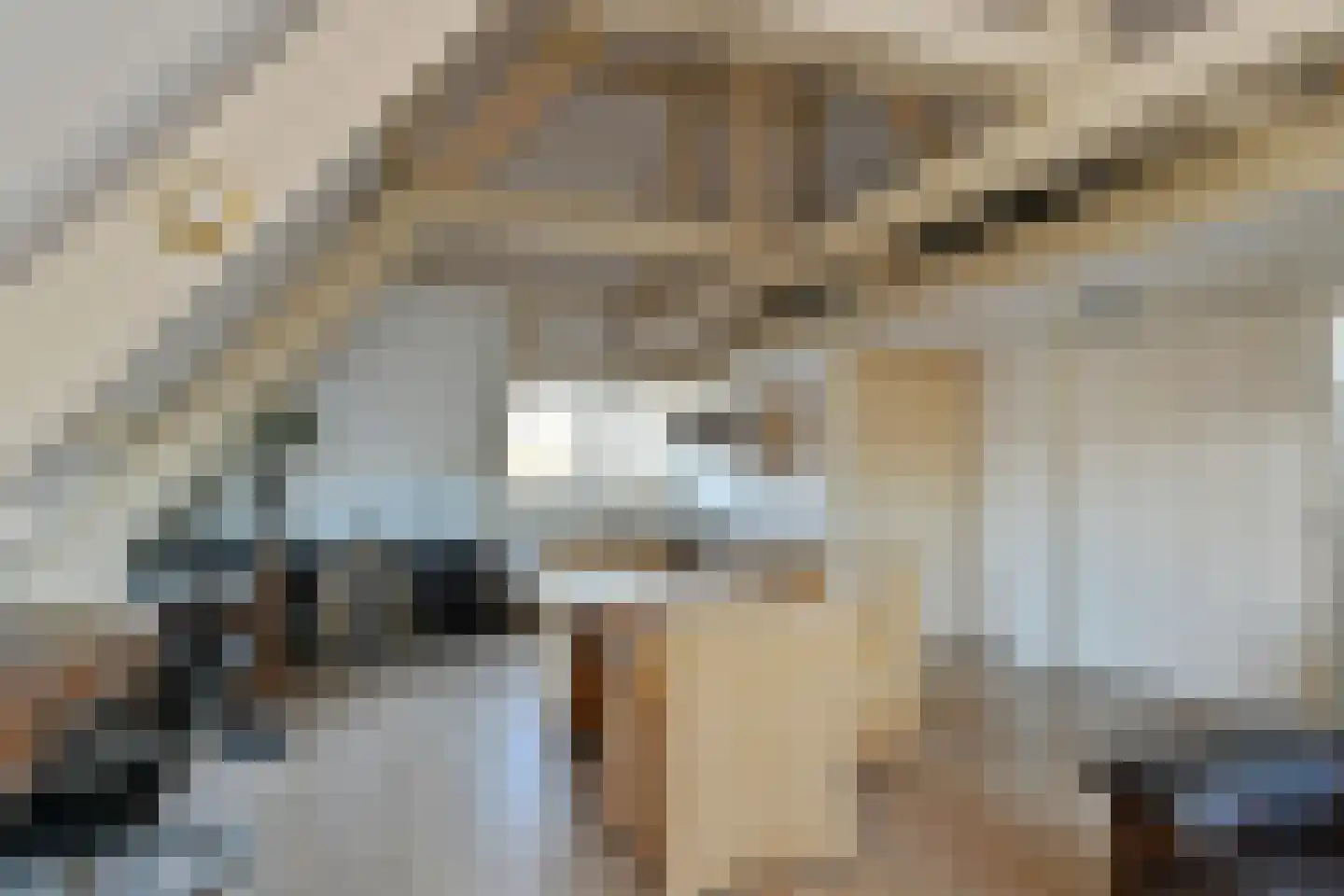 Biest 15 Weert thumbnail 31