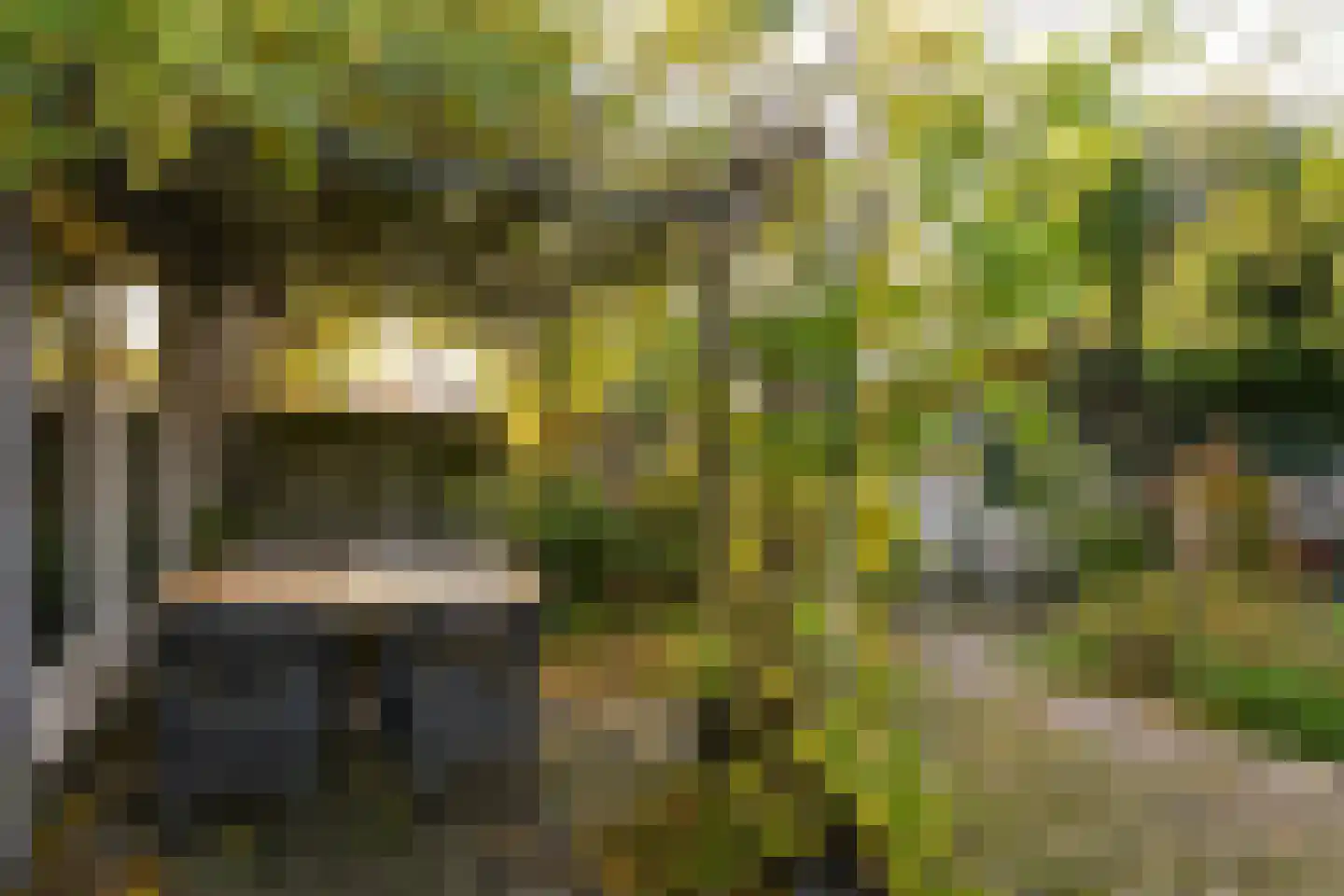 Biest 15 Weert thumbnail 37