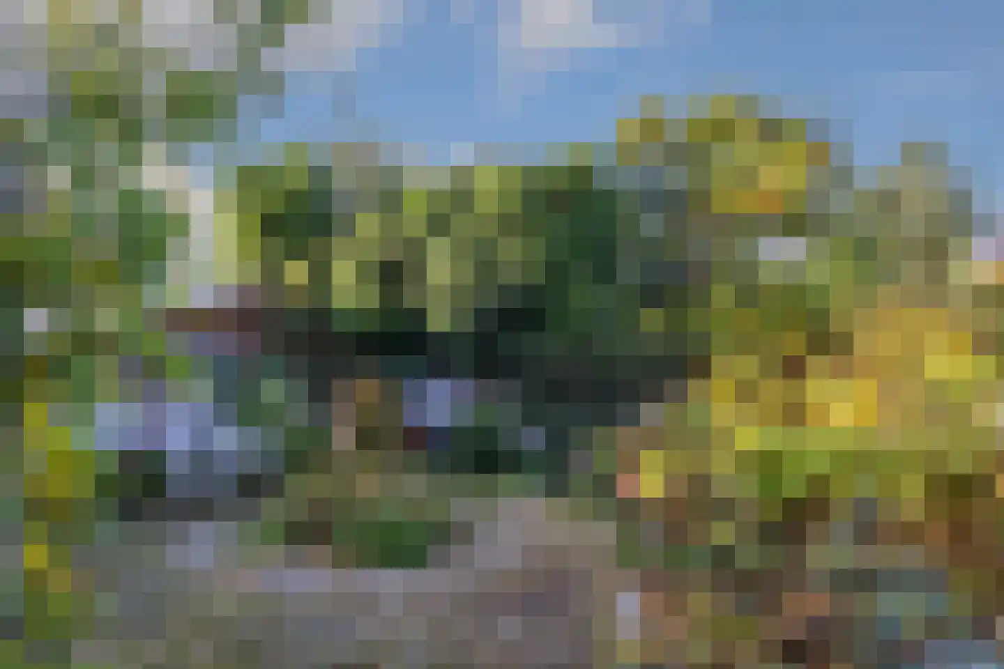 Biest 15 Weert thumbnail 38