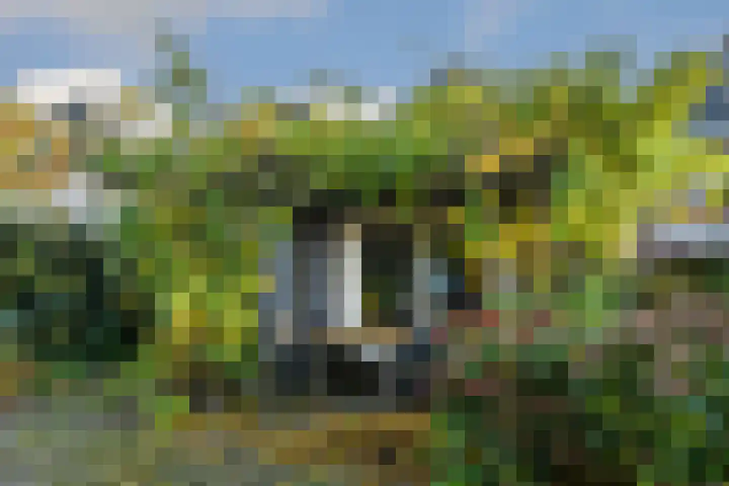 Biest 15 Weert thumbnail 39