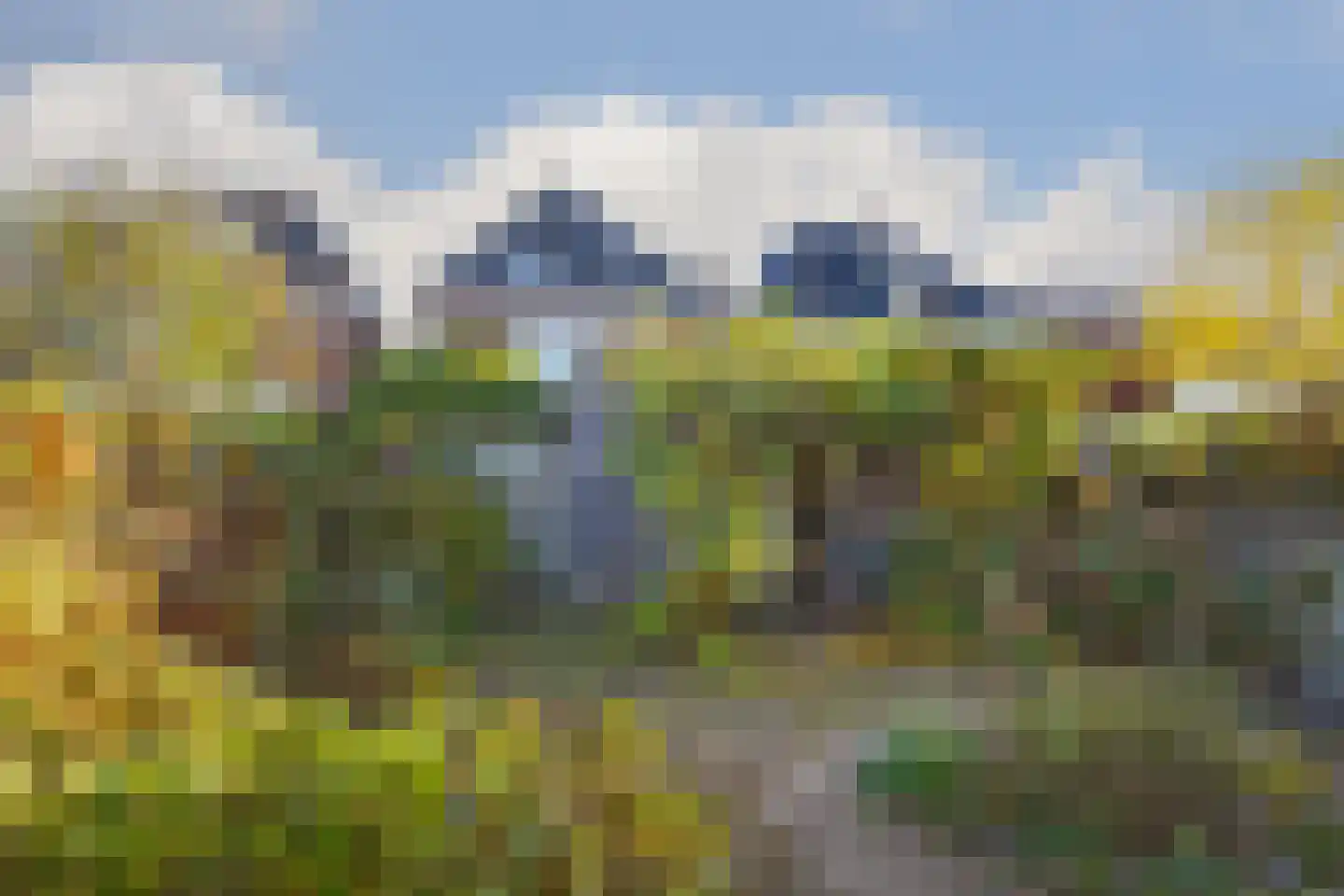 Biest 15 Weert thumbnail 5