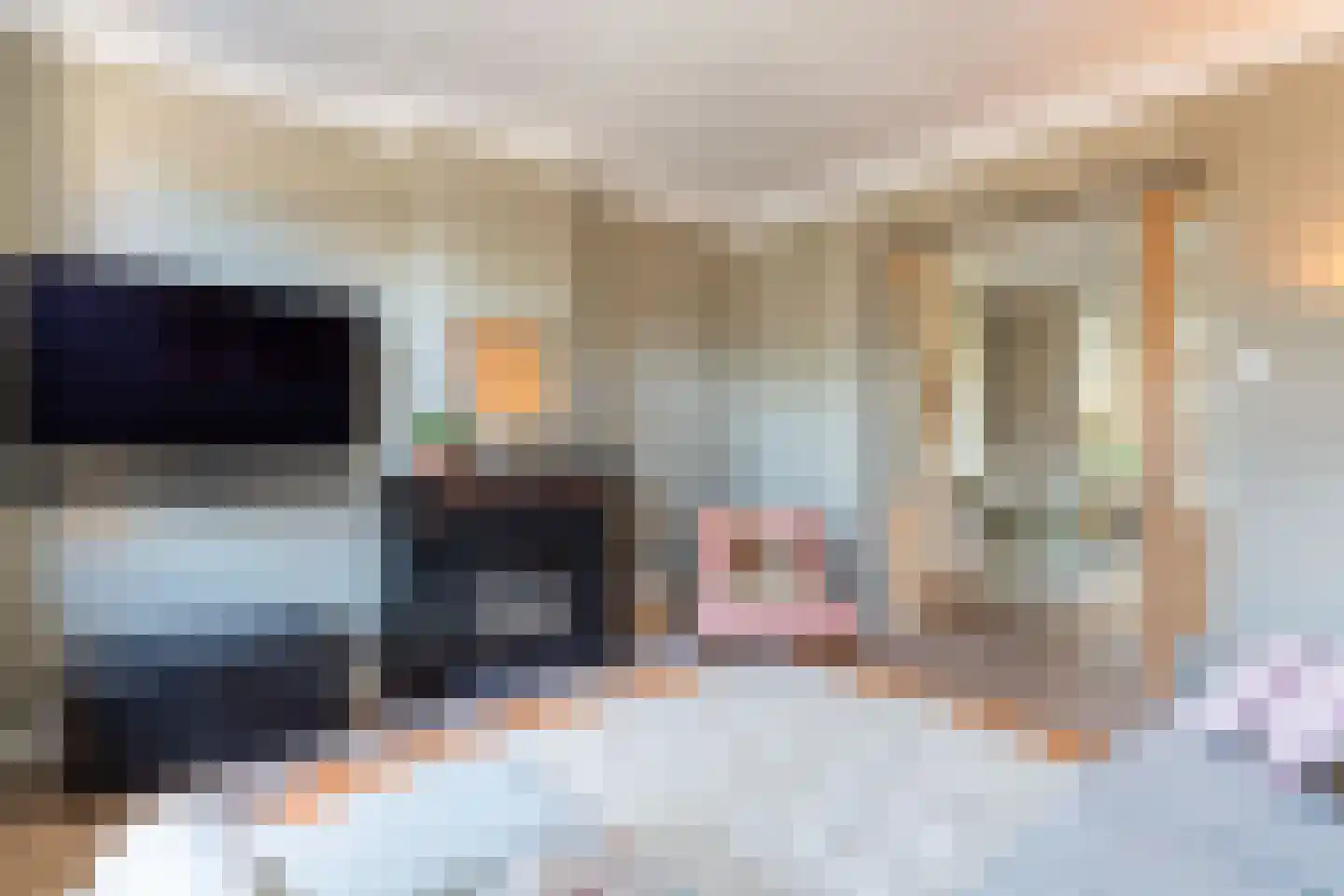 Biest 57 Weert thumbnail 16