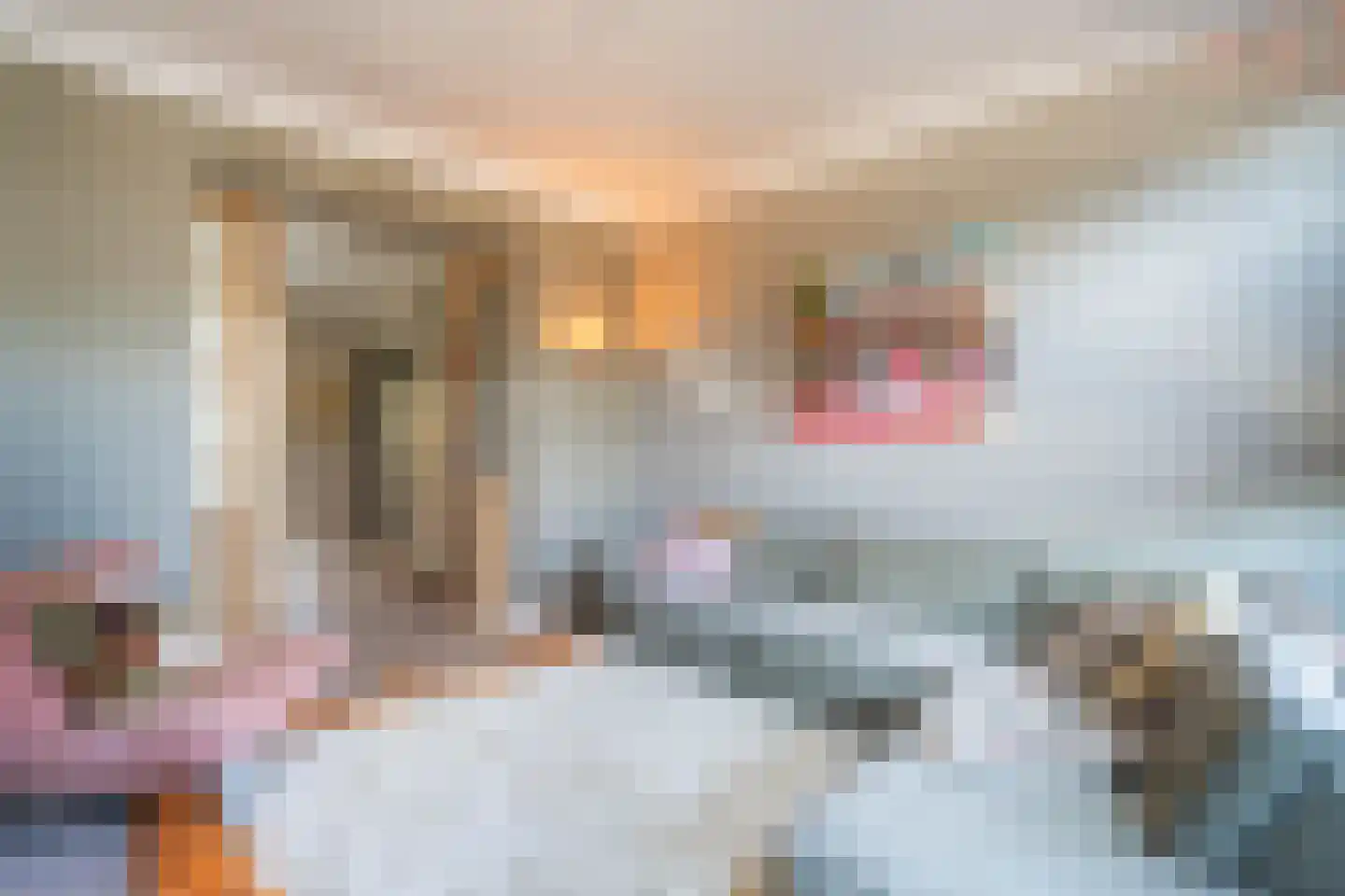 Biest 57 Weert thumbnail 17