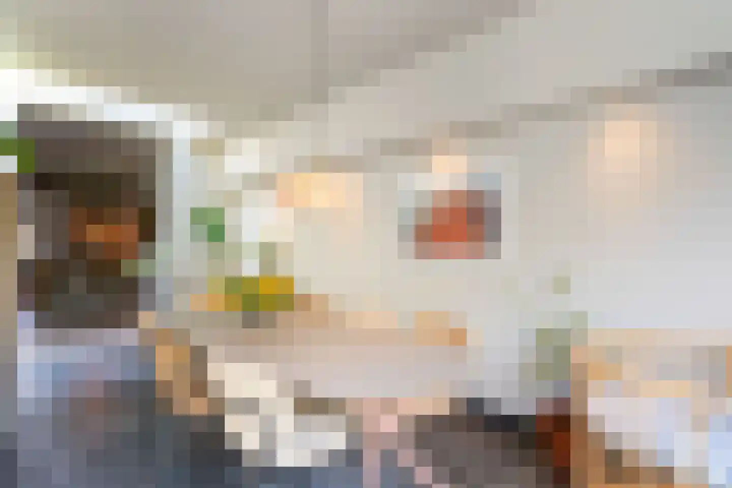 Biest 57 Weert thumbnail 22