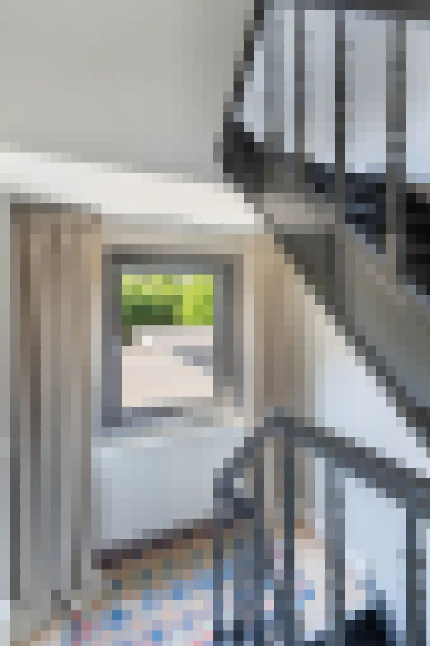 Biest 57 Weert thumbnail 30