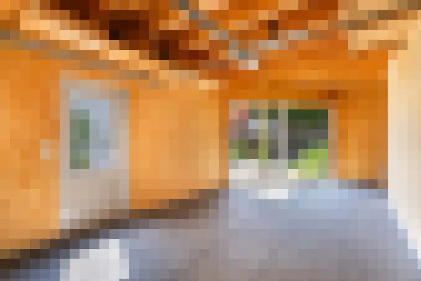 Biest 57 Weert thumbnail 44