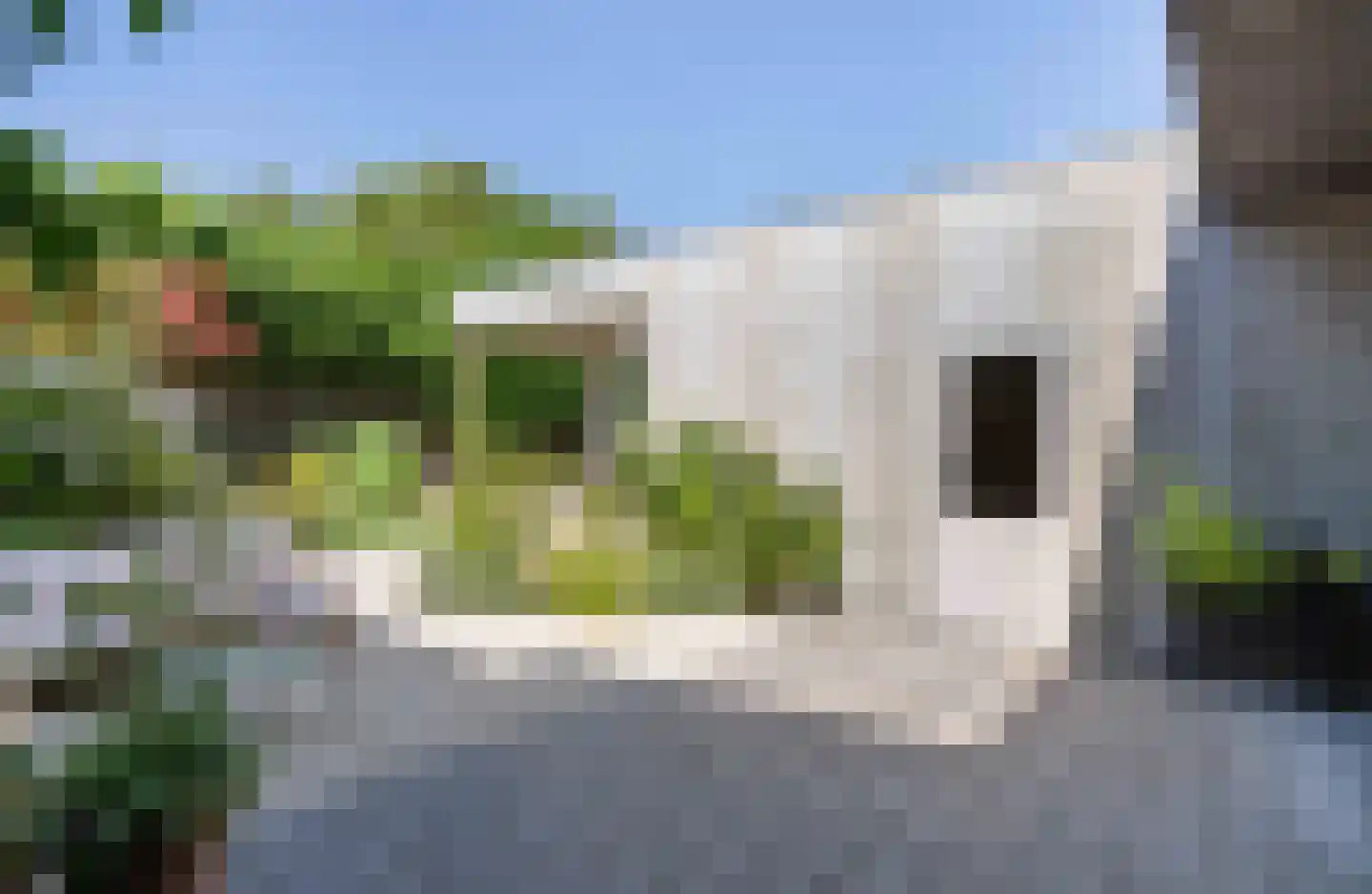 Biest 57 Weert thumbnail 47