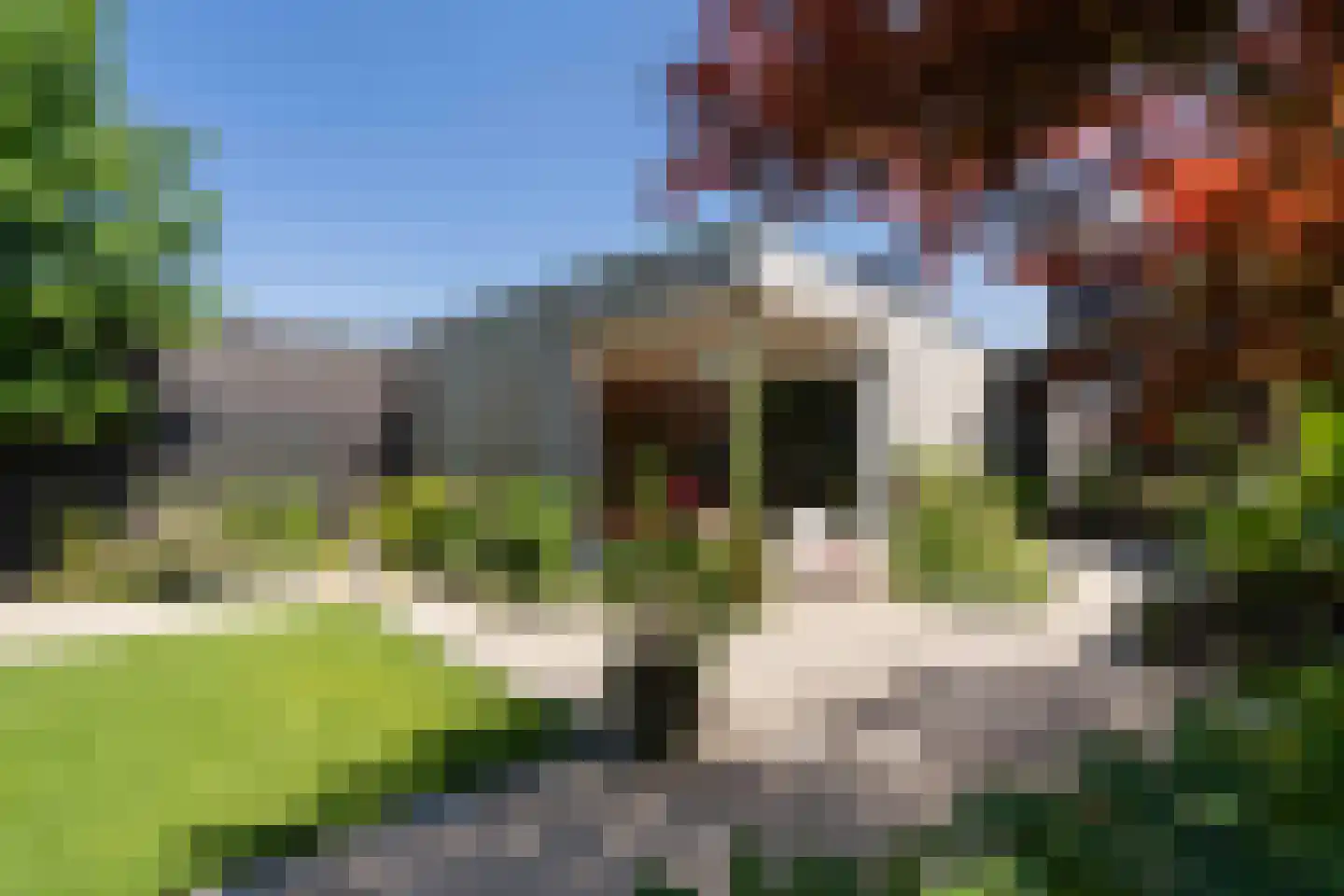 Biest 57 Weert thumbnail 50