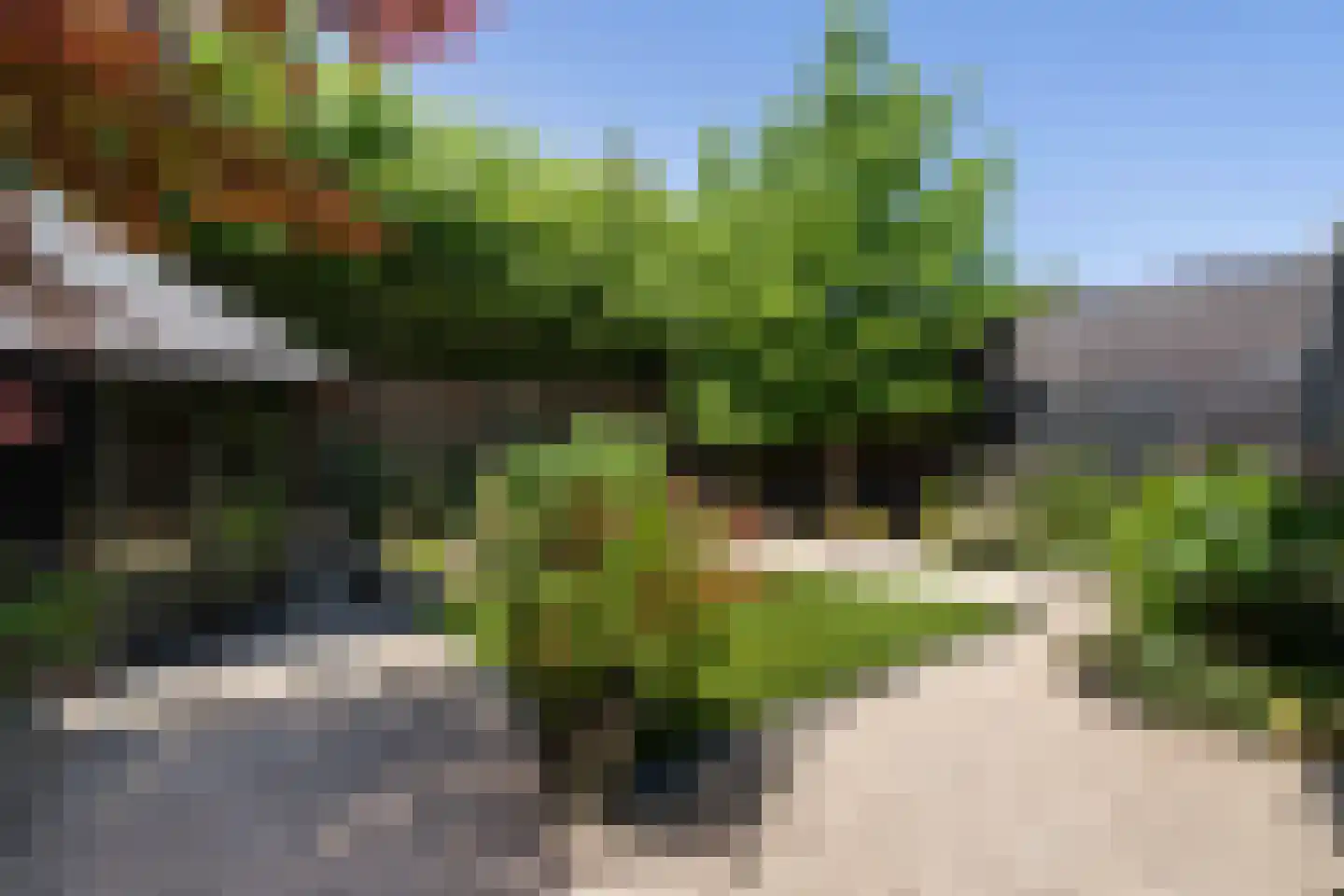 Biest 57 Weert thumbnail 51