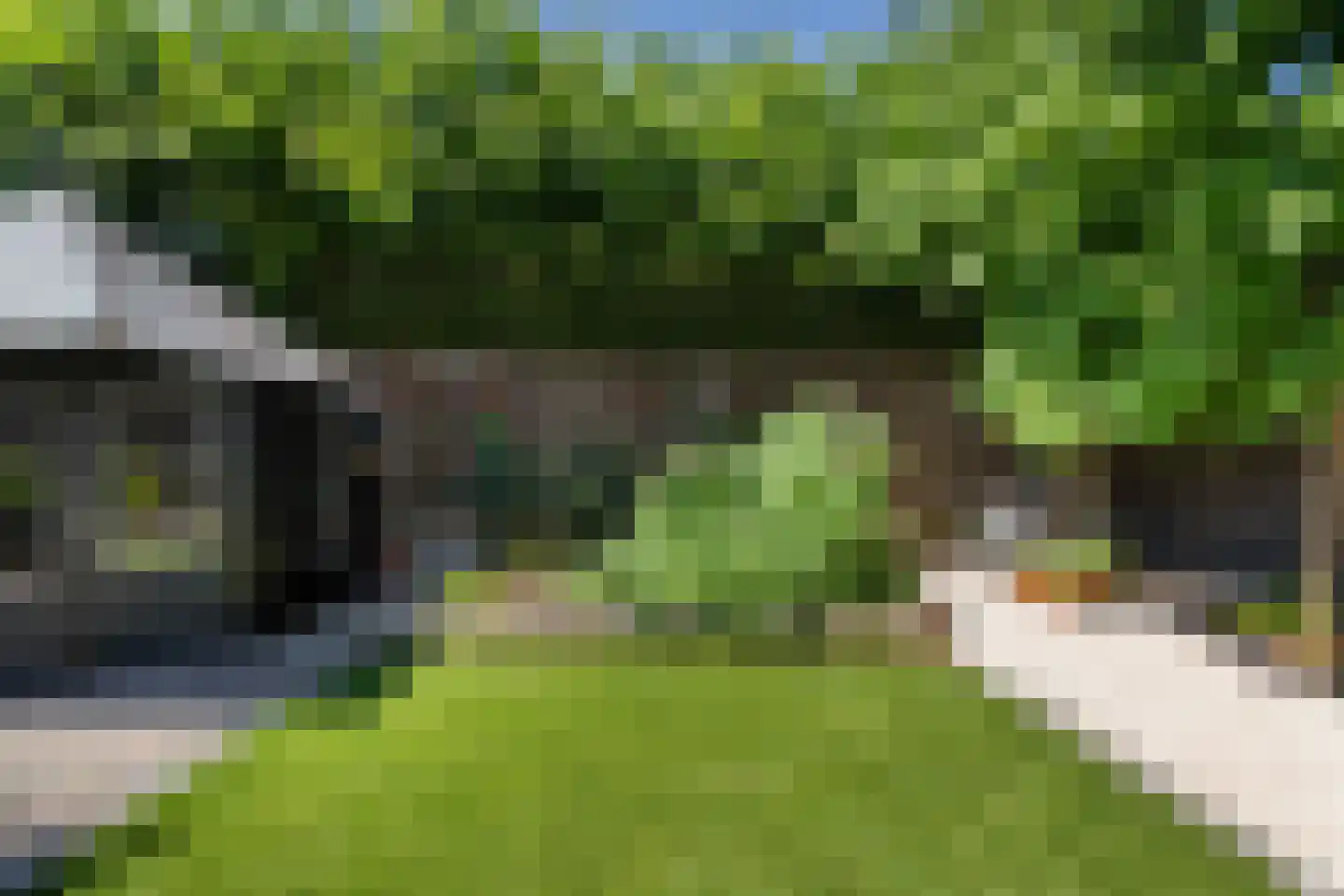 Biest 57 Weert thumbnail 52