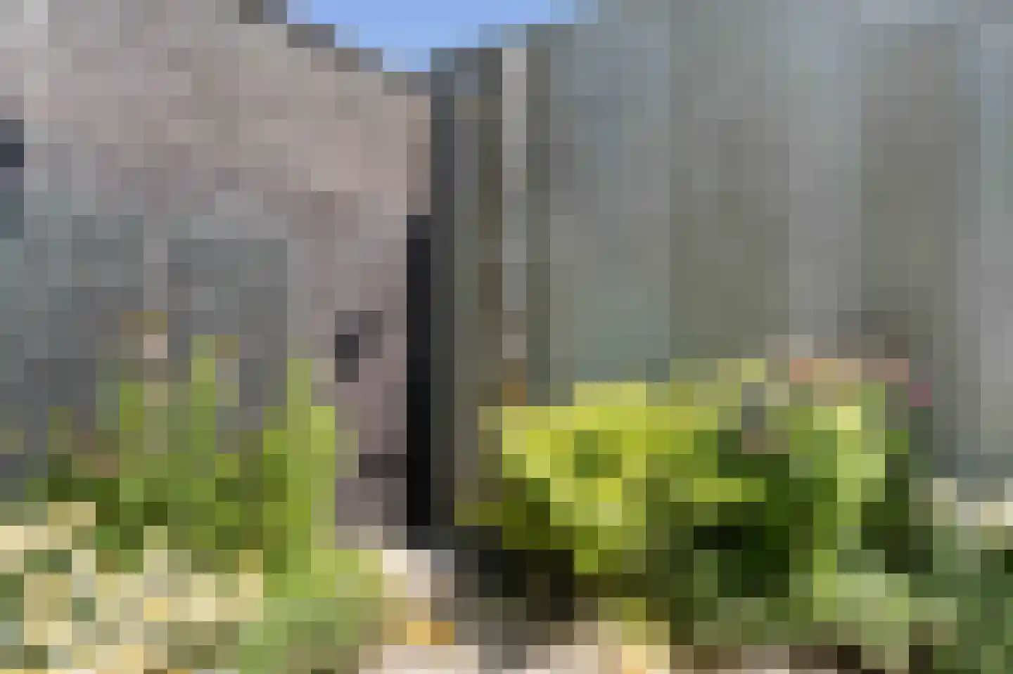 Biest 57 Weert thumbnail 53