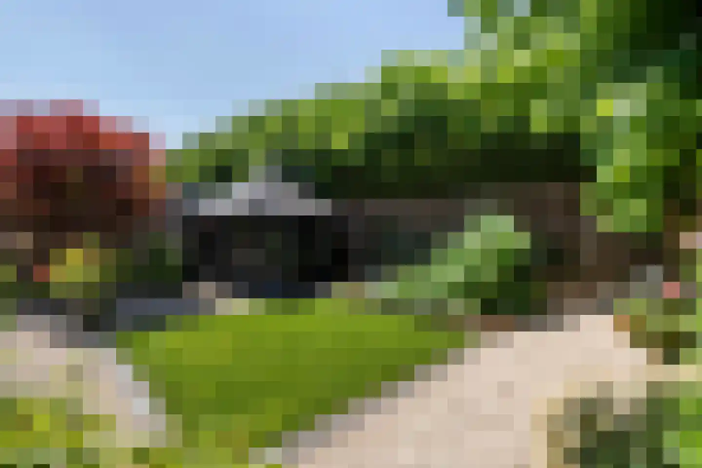 Biest 57 Weert thumbnail 54