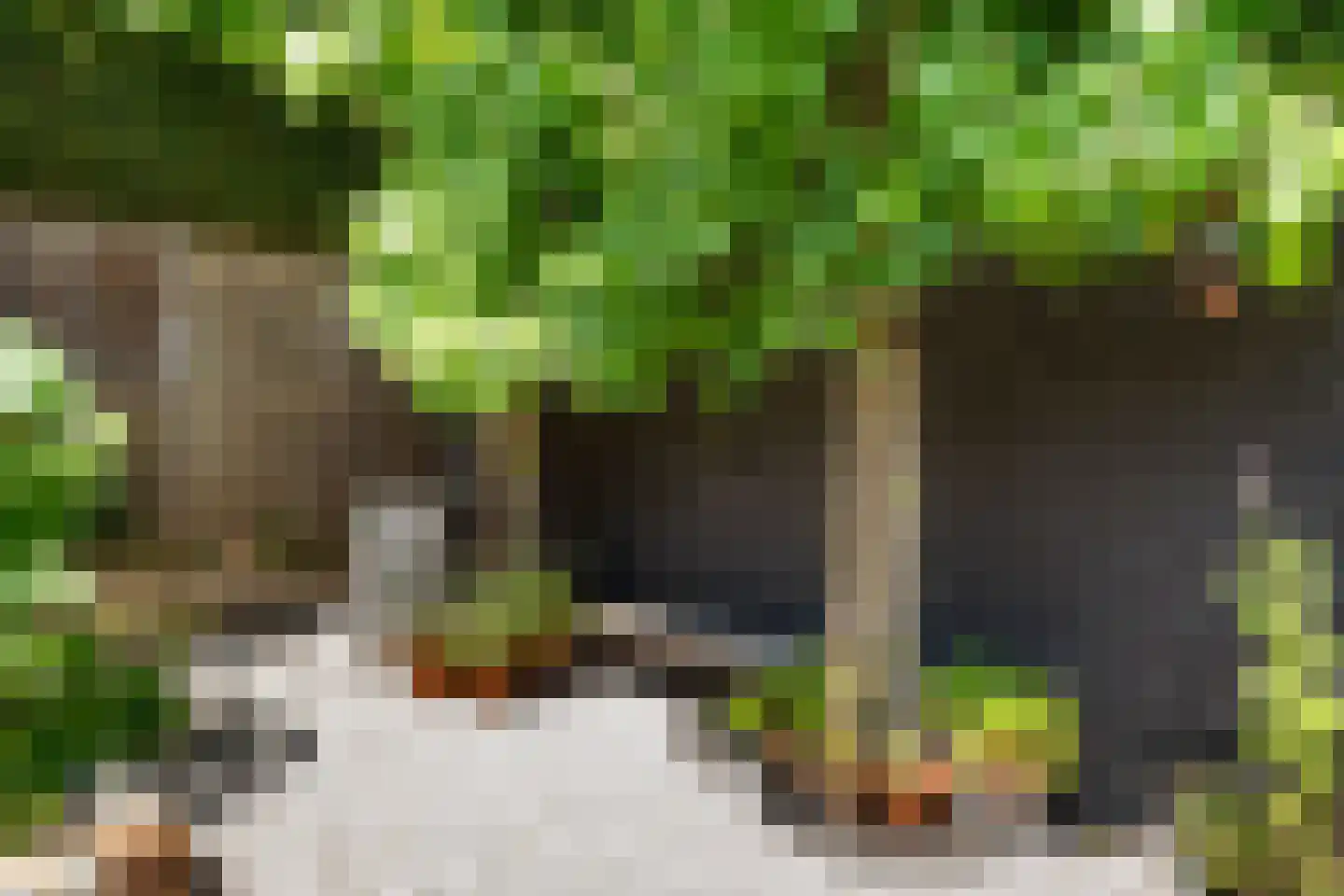 Biest 57 Weert thumbnail 55