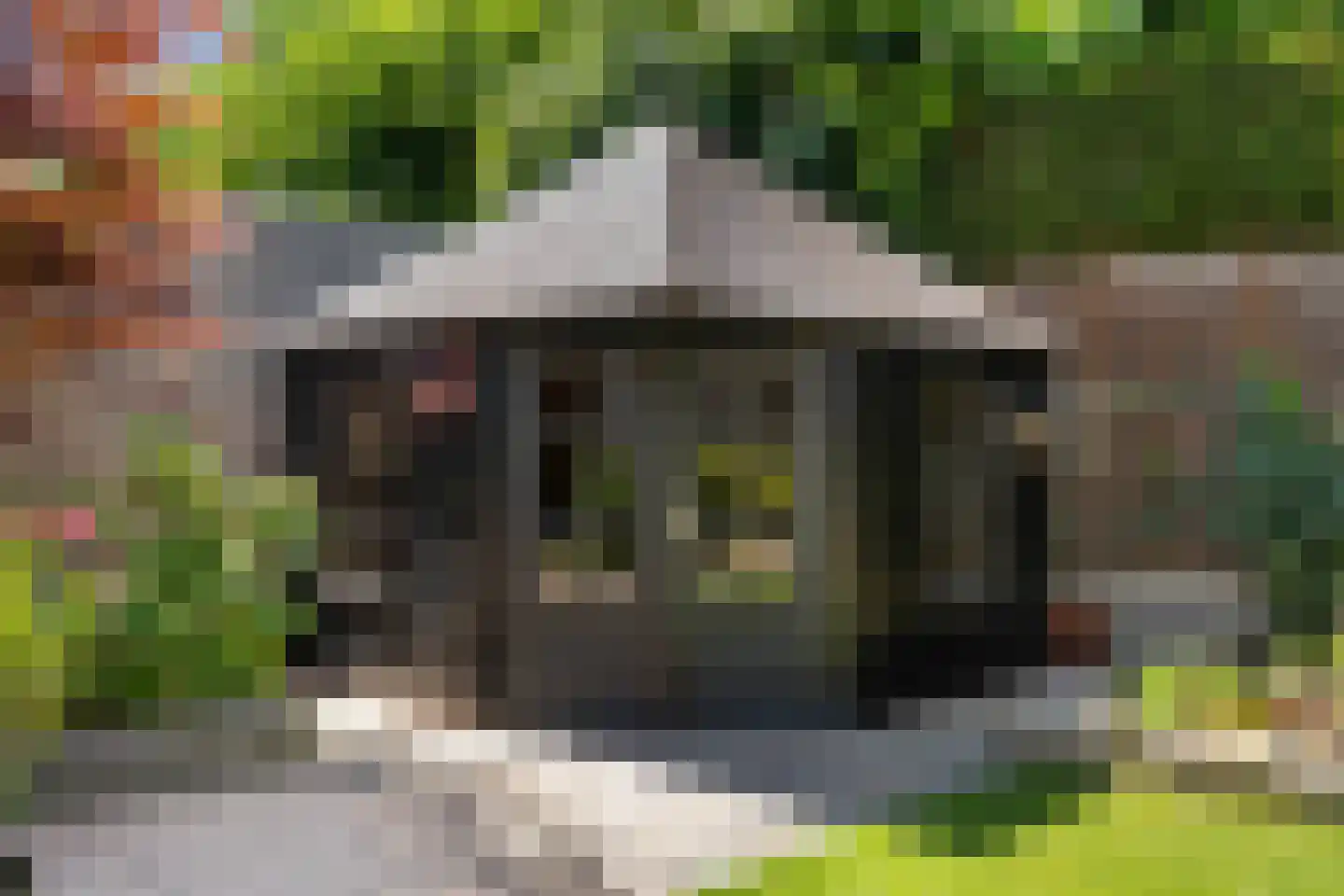 Biest 57 Weert thumbnail 57