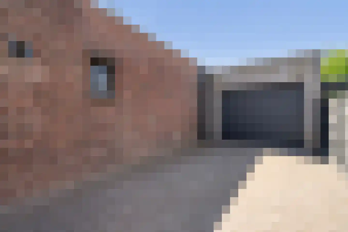 Biest 57 Weert thumbnail 58