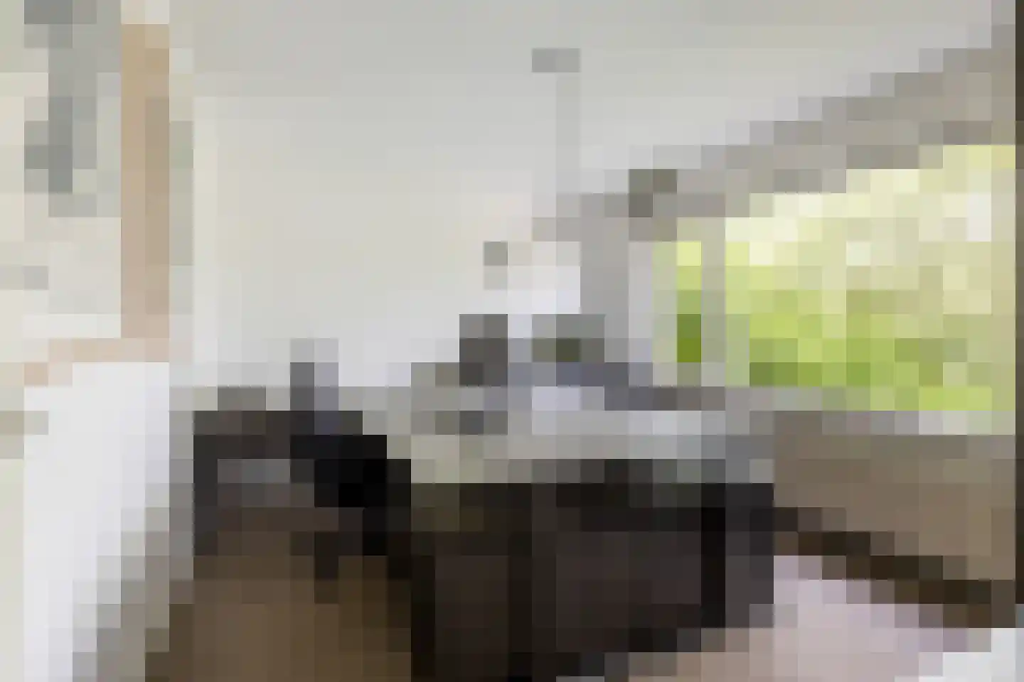Biestakkerstraat 18 Helvoirt thumbnail 15