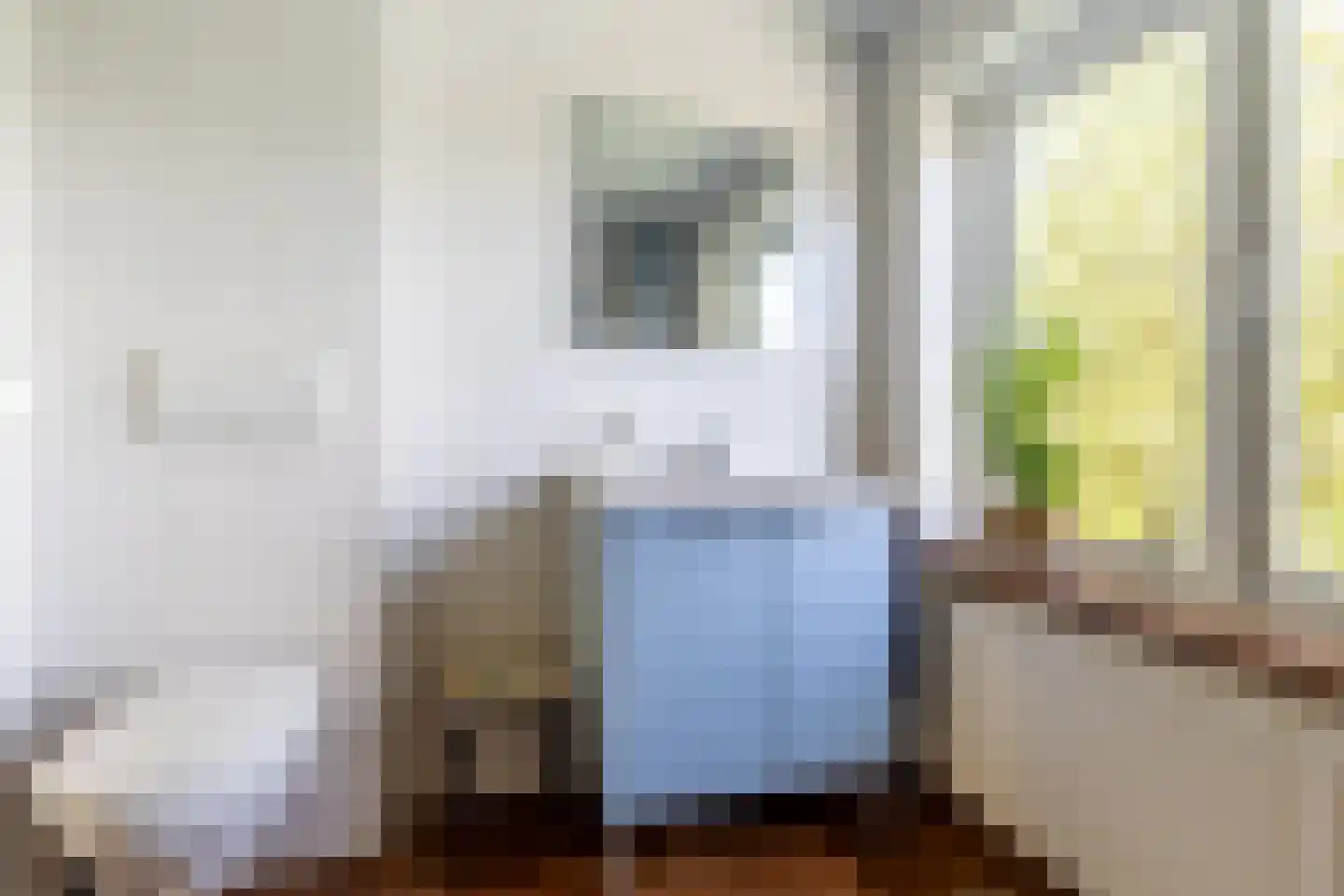Biestakkerstraat 18 Helvoirt thumbnail 17