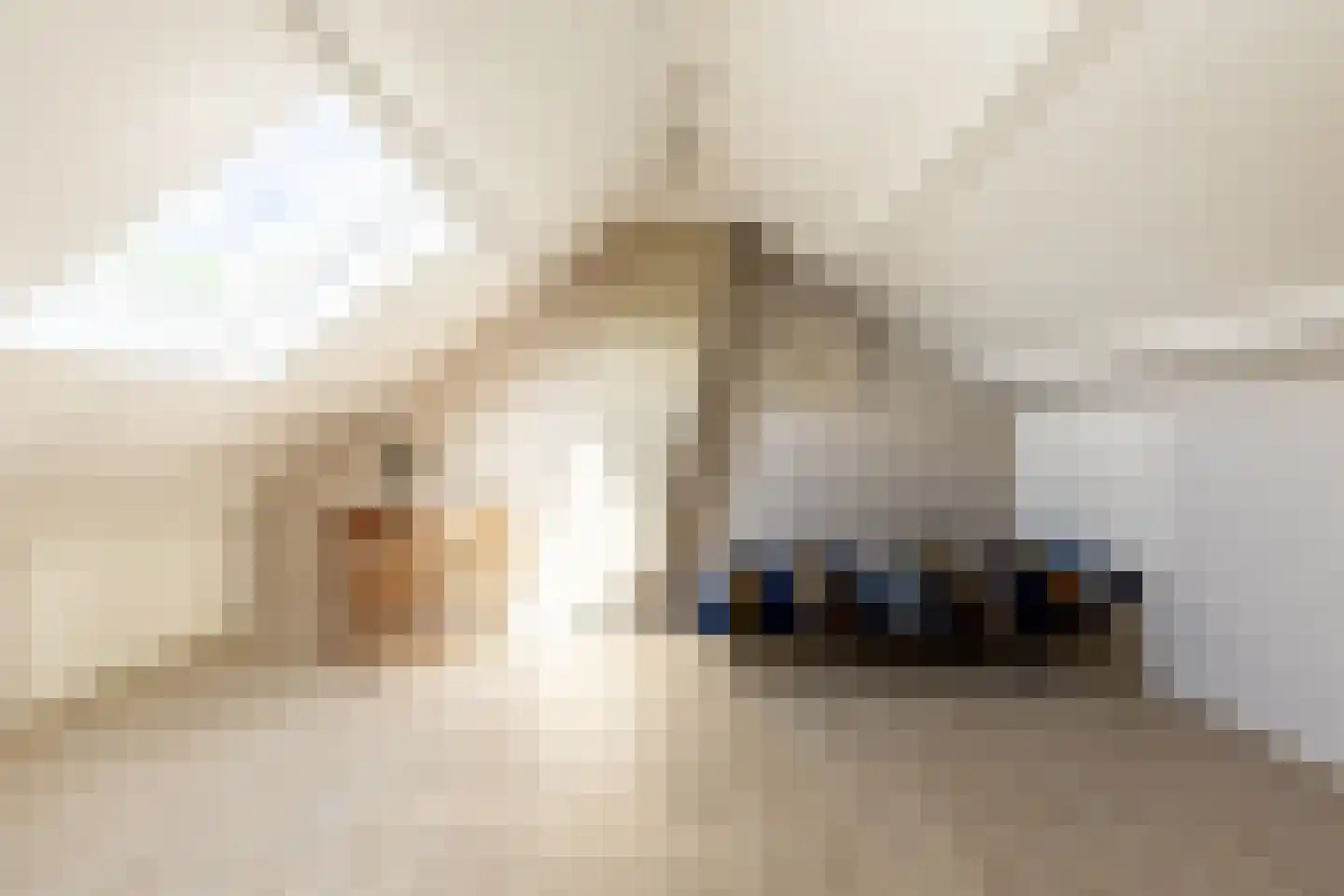 Biestakkerstraat 18 Helvoirt thumbnail 21